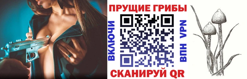 Псилоцибиновые грибы Psilocybine cubensis  дарк нет состав  Баймак 